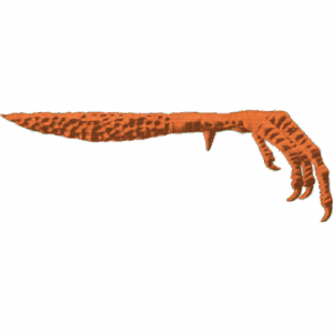 Ceremonial Turkey Foot knife